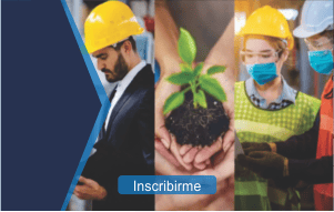 Auditor Lider en Sistema de Gestion Integrados